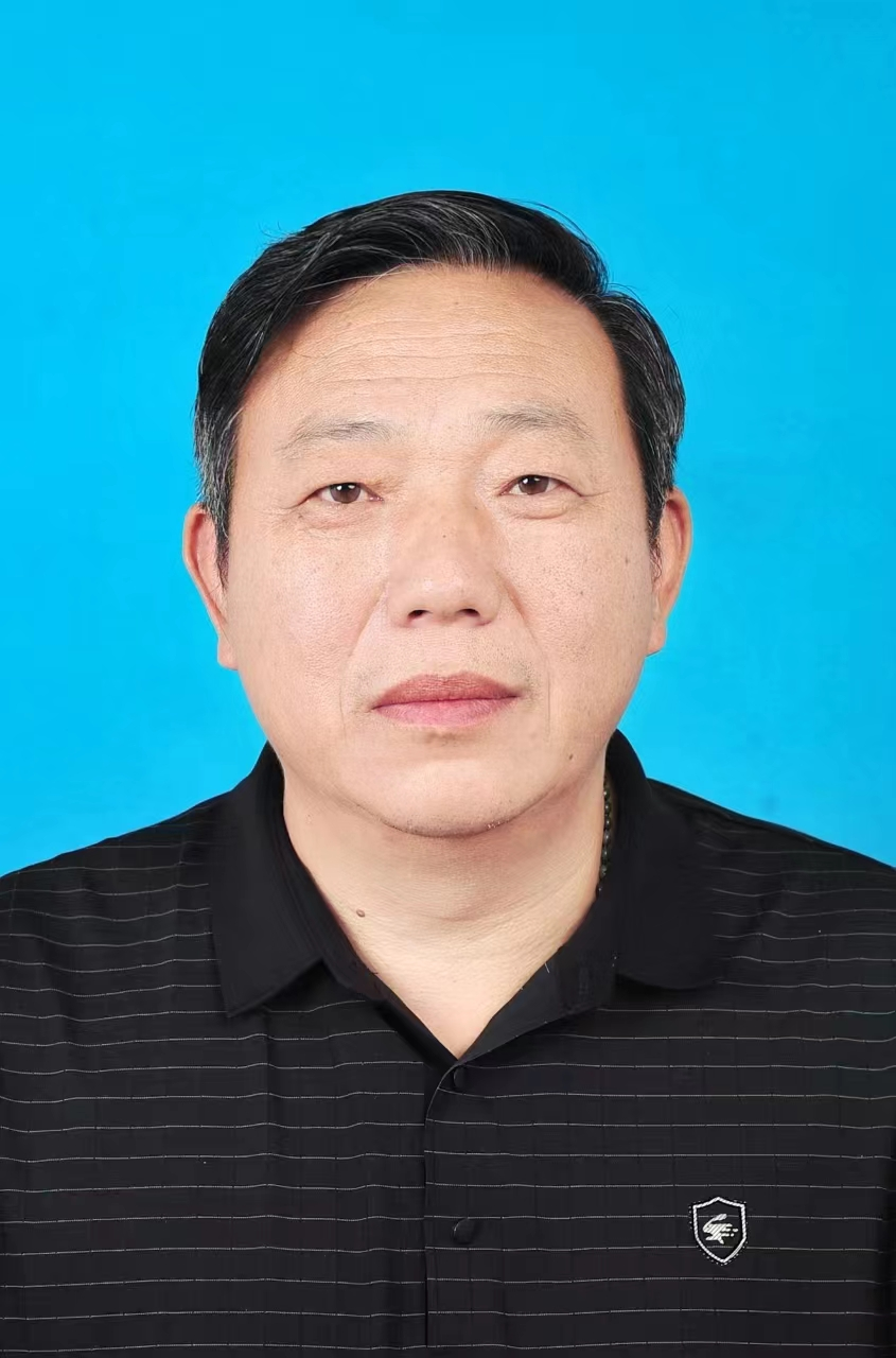 贾环平