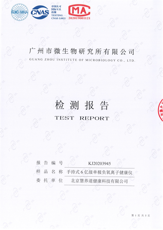 手持式单极负氧离子健康仪
