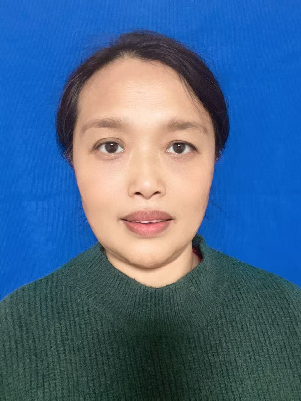 宋菊